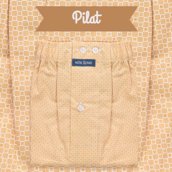 Caleçon homme classique coupe française 100% coton "Pilat"