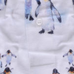 Calecon-homme-classique-coupe-francaise-coton-motifs-pingouins-flanelle