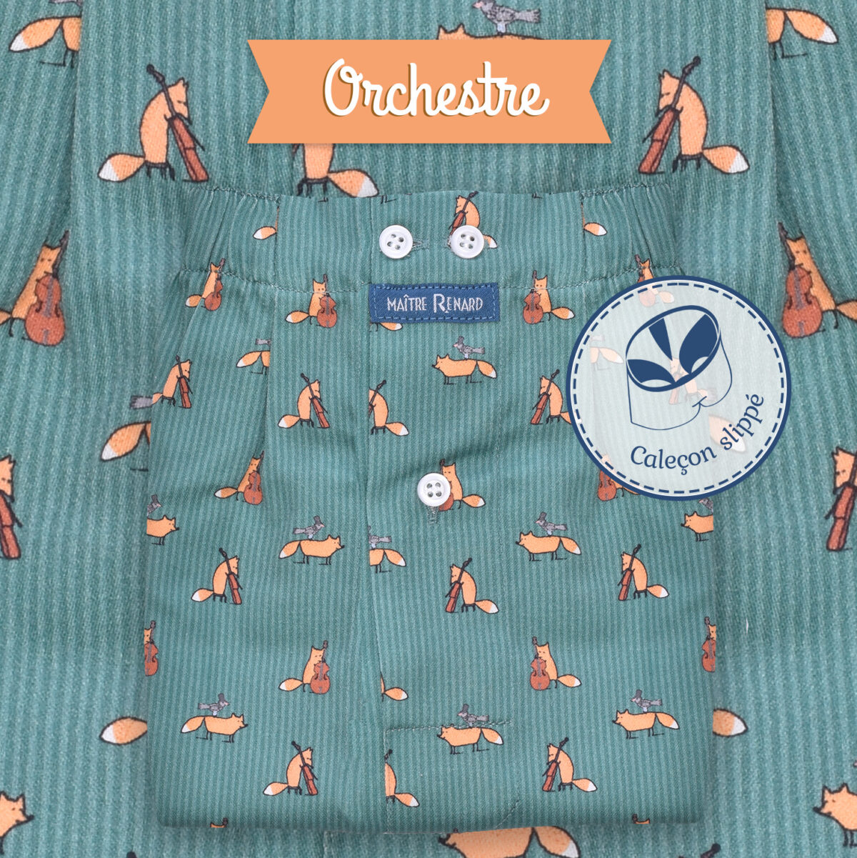 Caleçon homme SLIPPÉ classique coupe française "Orchestre"