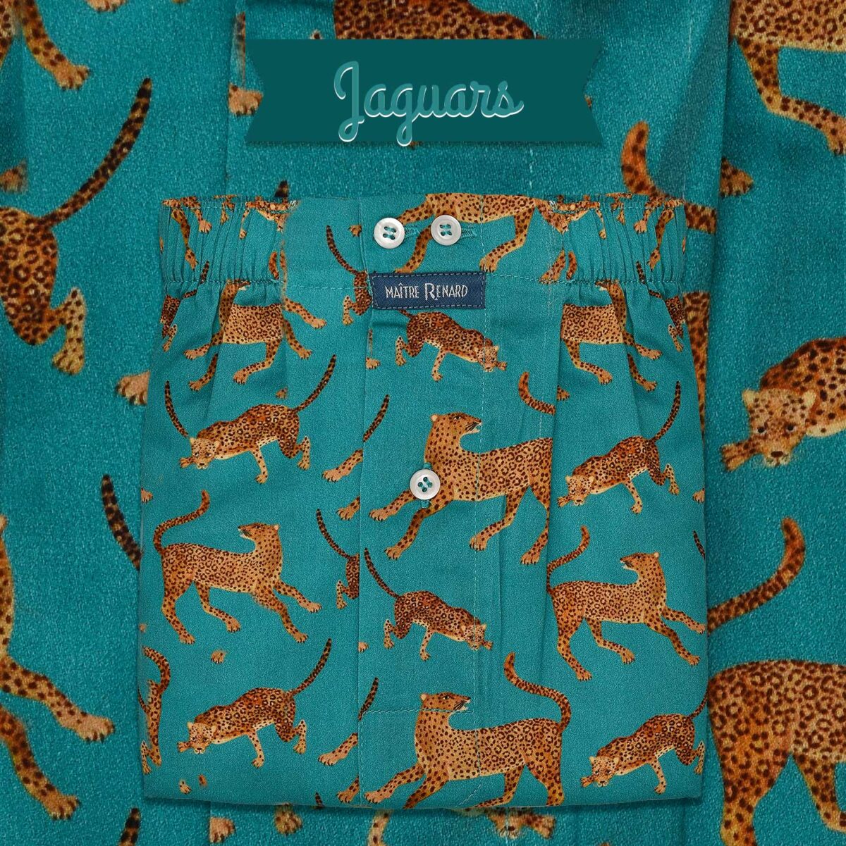 Caleçon homme classique coupe française "Jaguar"