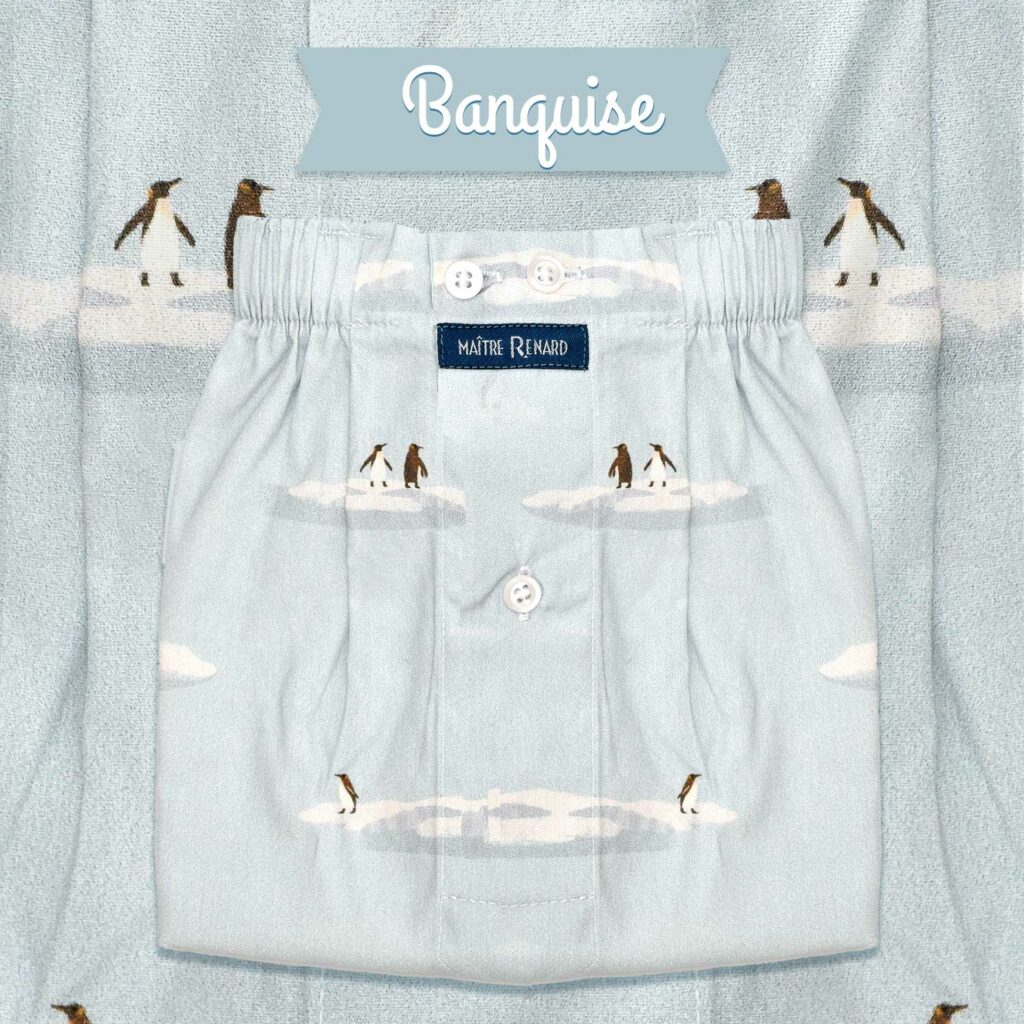 Caleçon homme classique coupe française 100 % coton pingouins banquise