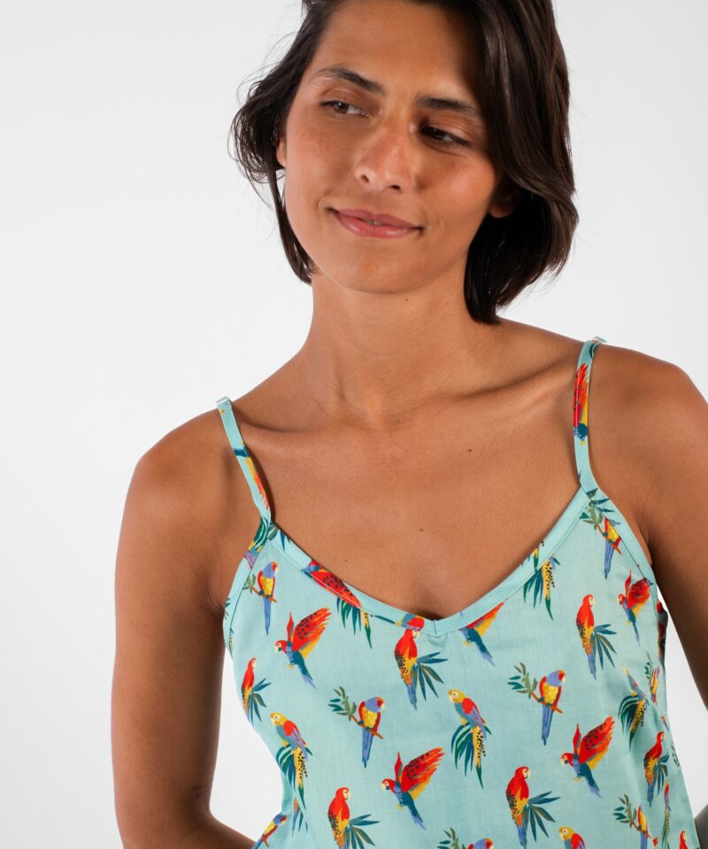 Caraco - Aras 🦜