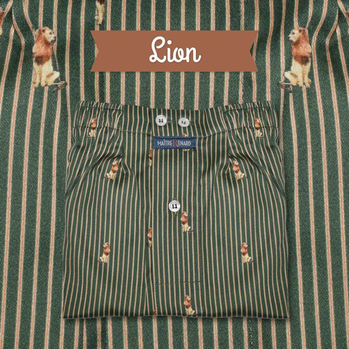 Caleçon homme classique - Lions
