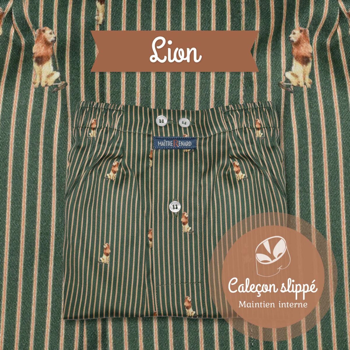 Caleçon homme SLIPPÉ - Lions