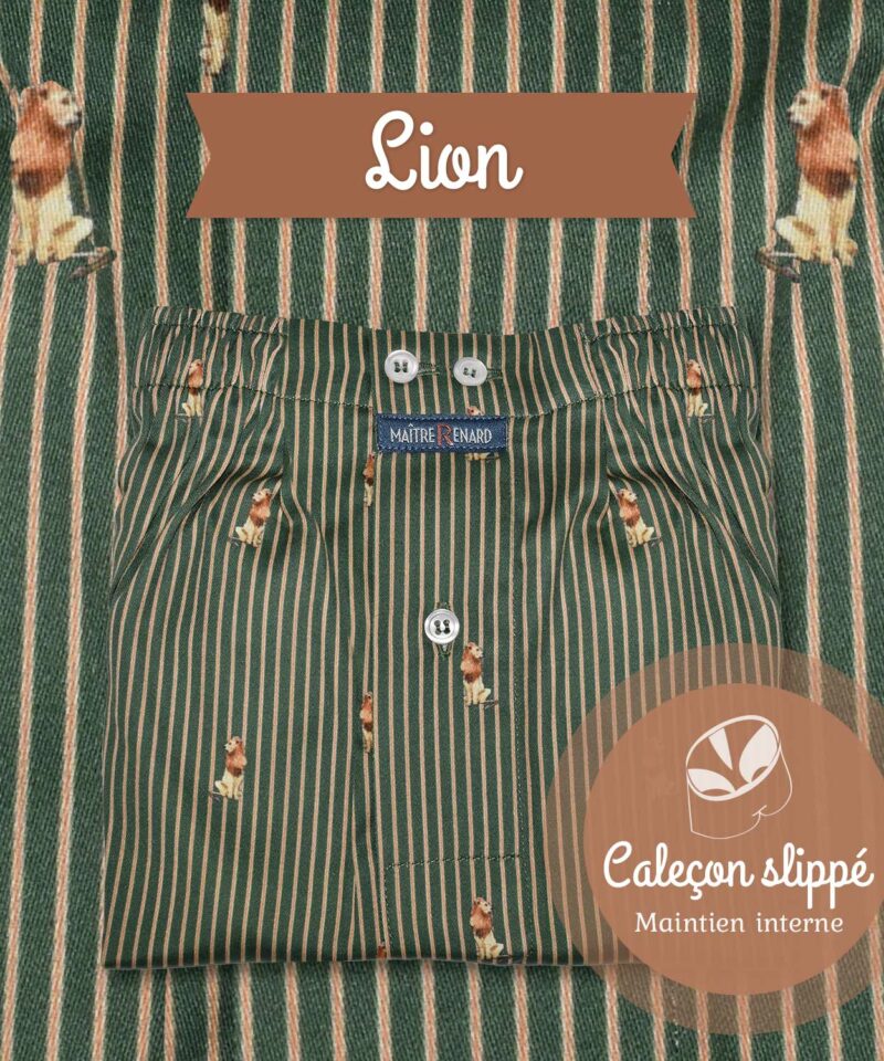 Caleçon homme SLIPPÉ - Lions