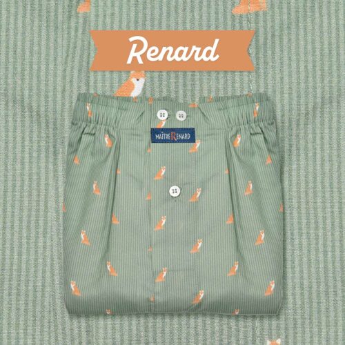 caleçon homme classique coupe française coton fabriqué au portugal rayé vert motif renard