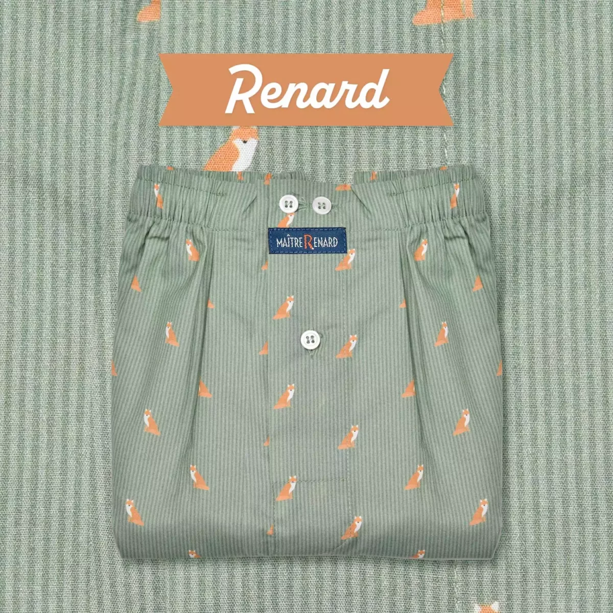 Caleçon homme classique - Renards